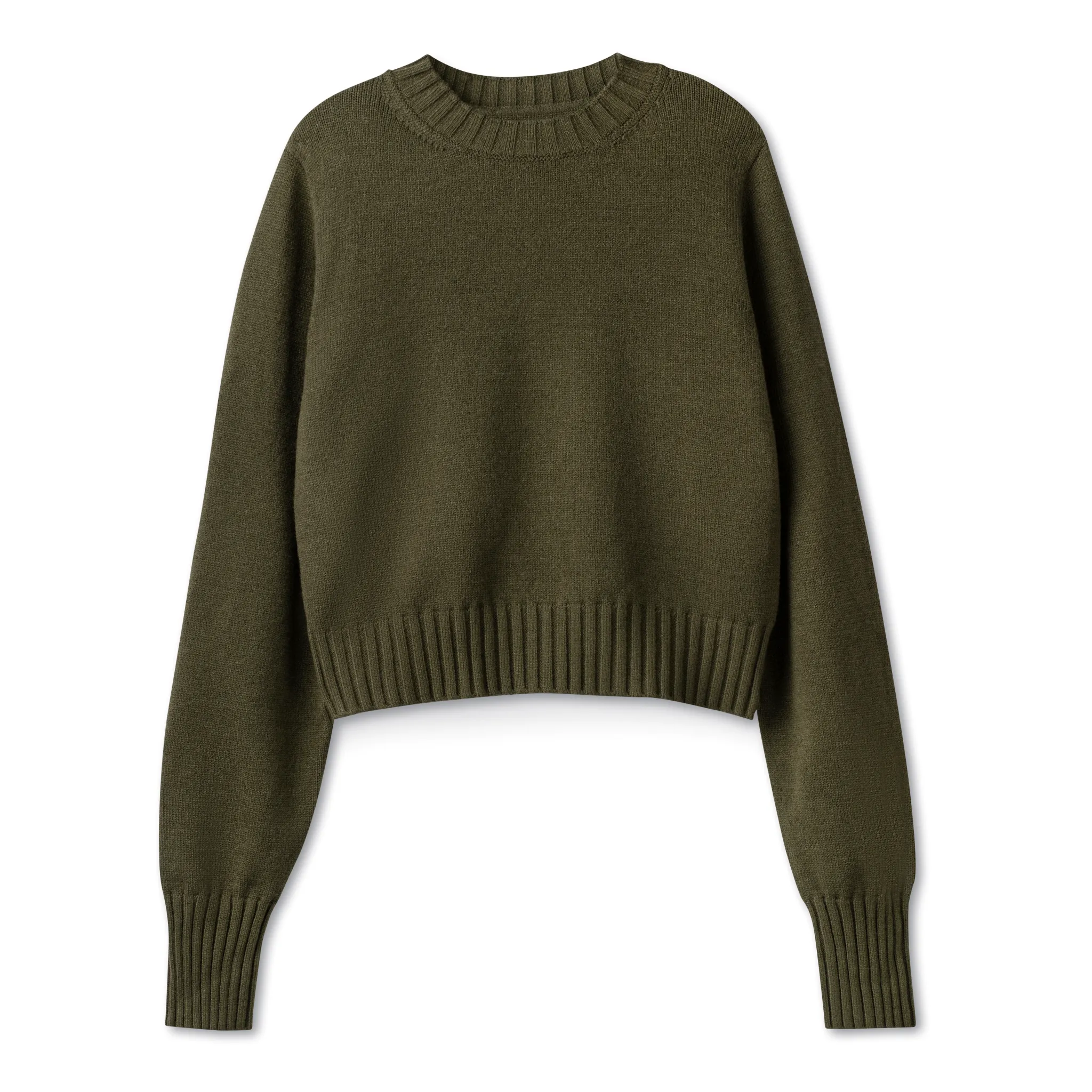 Basic Crop Fitted Sweater IN: Olive