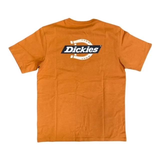 Dickies T-shirt manica corta da uomo Ruston Tee DK0A4XDC C38 giallo ocra