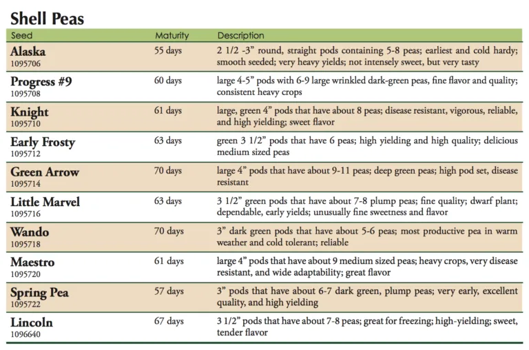 Early Frosty Pea Vegetable Seed