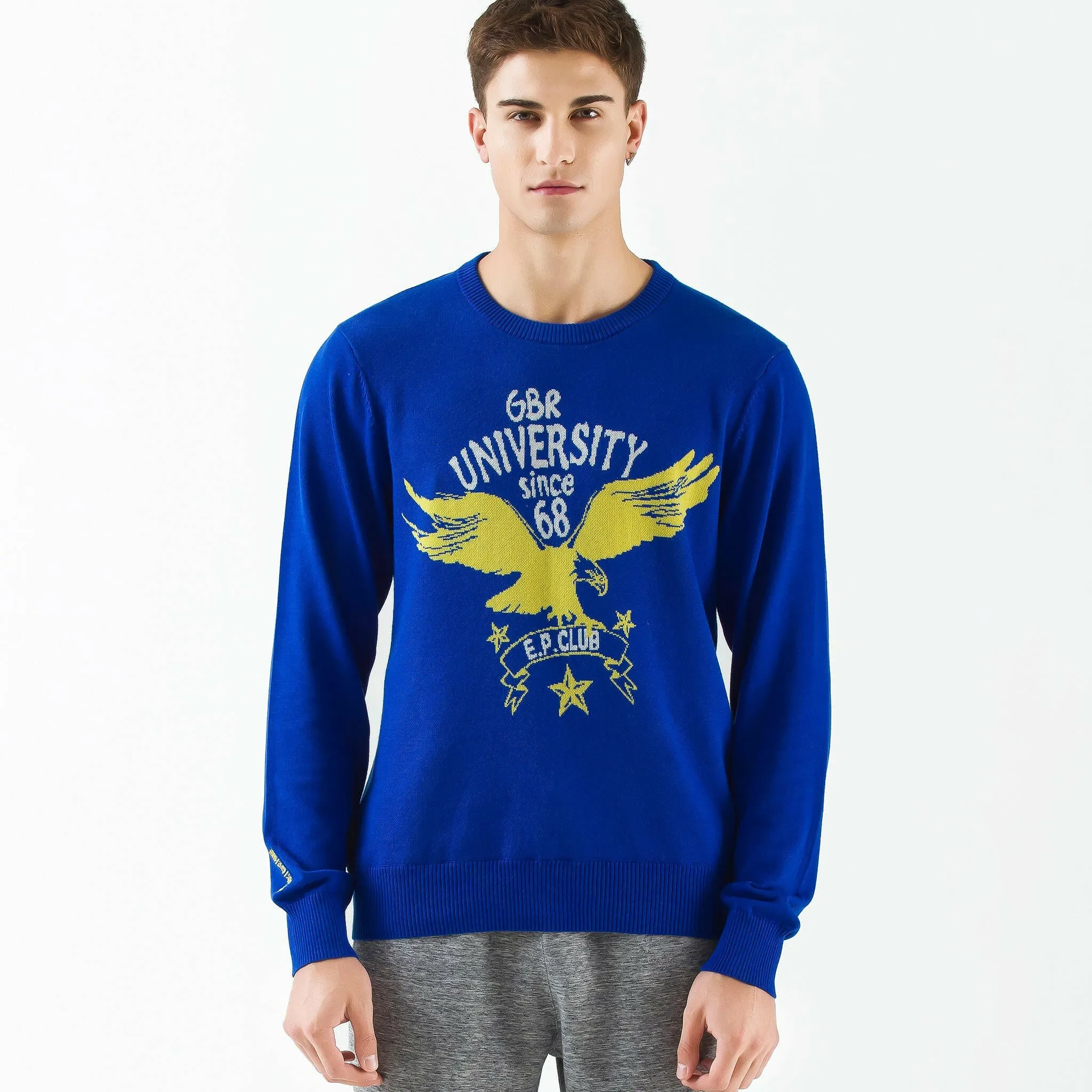 Men Jacquard Knit Eagle Sweater