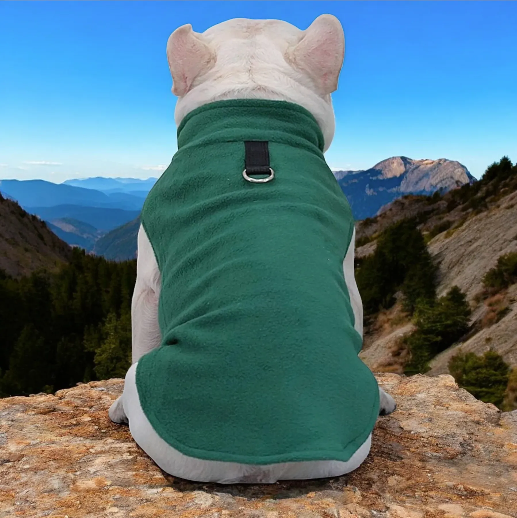 The Dog Face Frenchie Jacket Premium Fleece for Cold-Weather