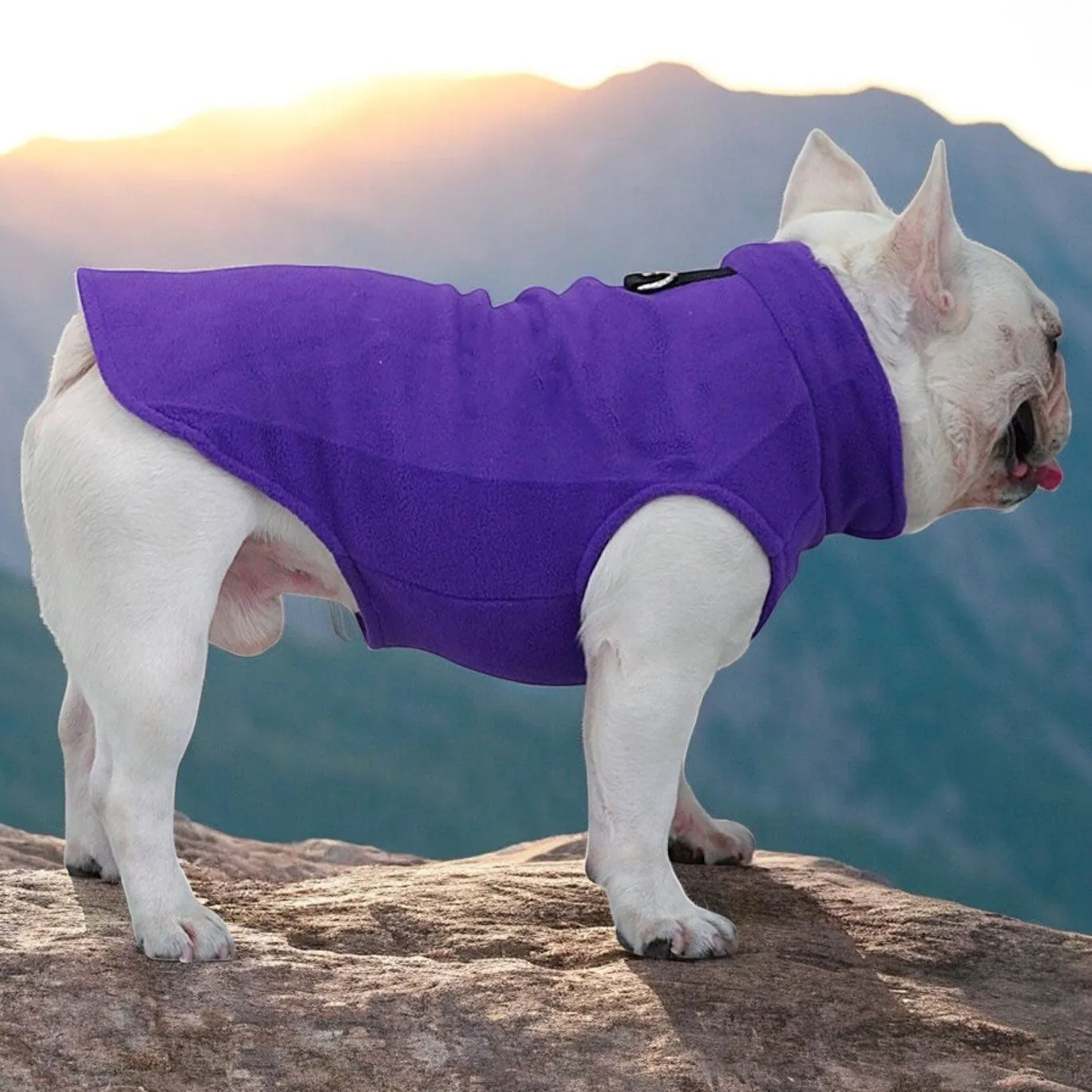 The Dog Face Frenchie Jacket Premium Fleece for Cold-Weather