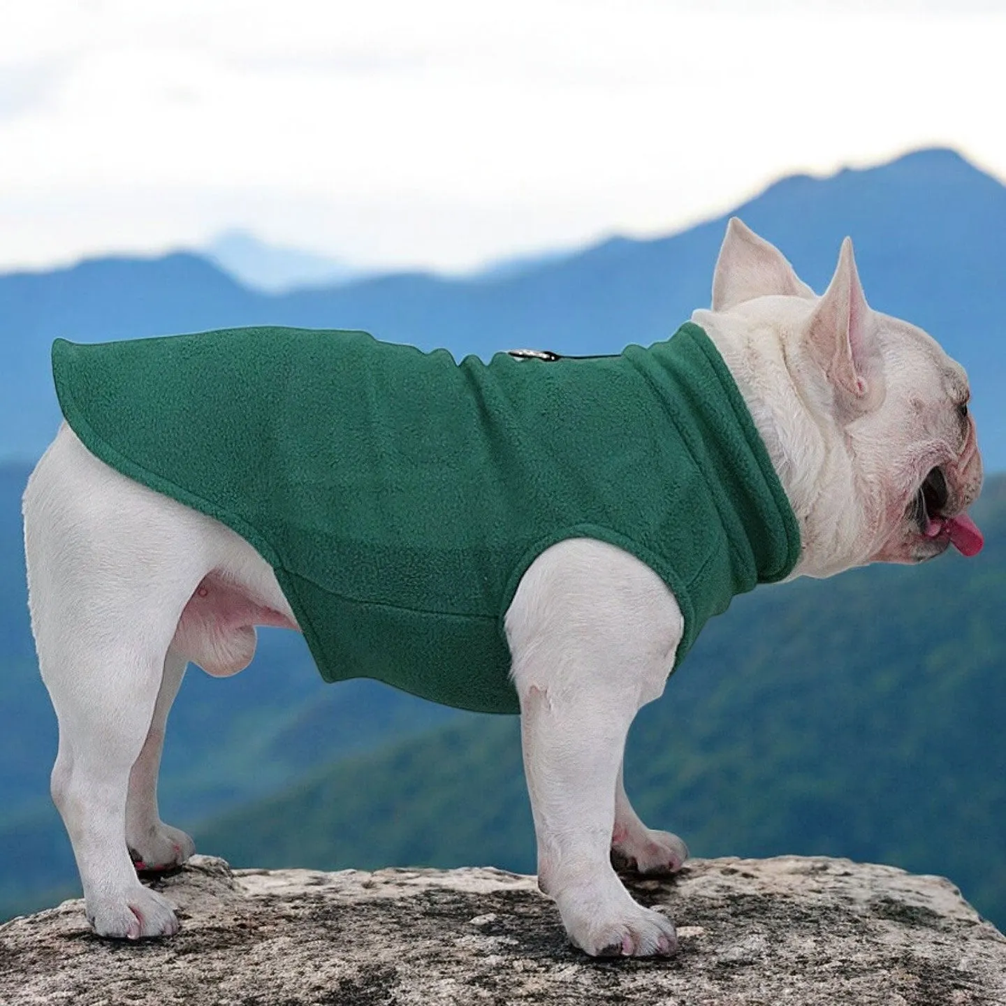 The Dog Face Frenchie Jacket Premium Fleece for Cold-Weather