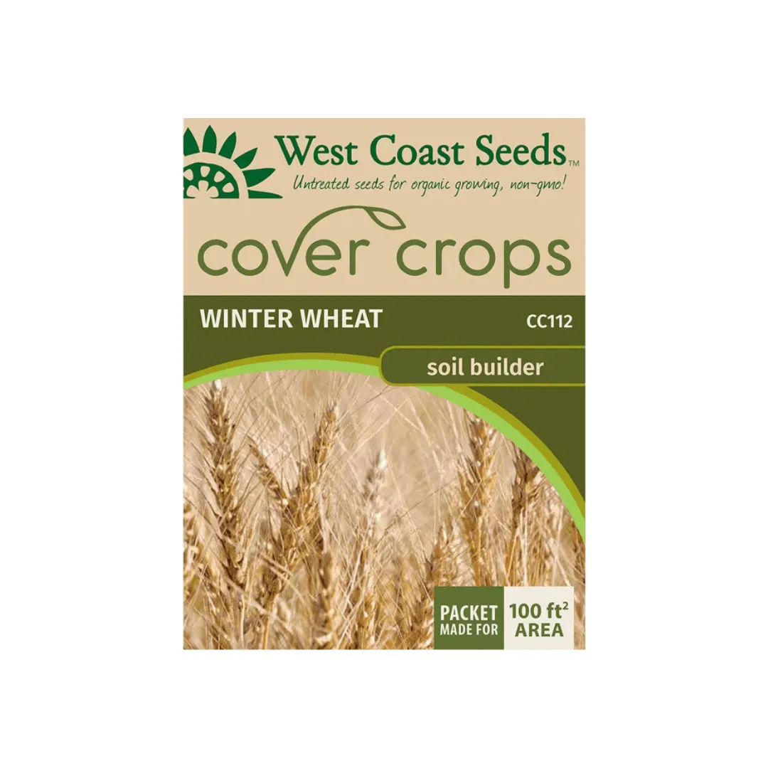 Winter Wheat Cover Crops | West Coast Seeds